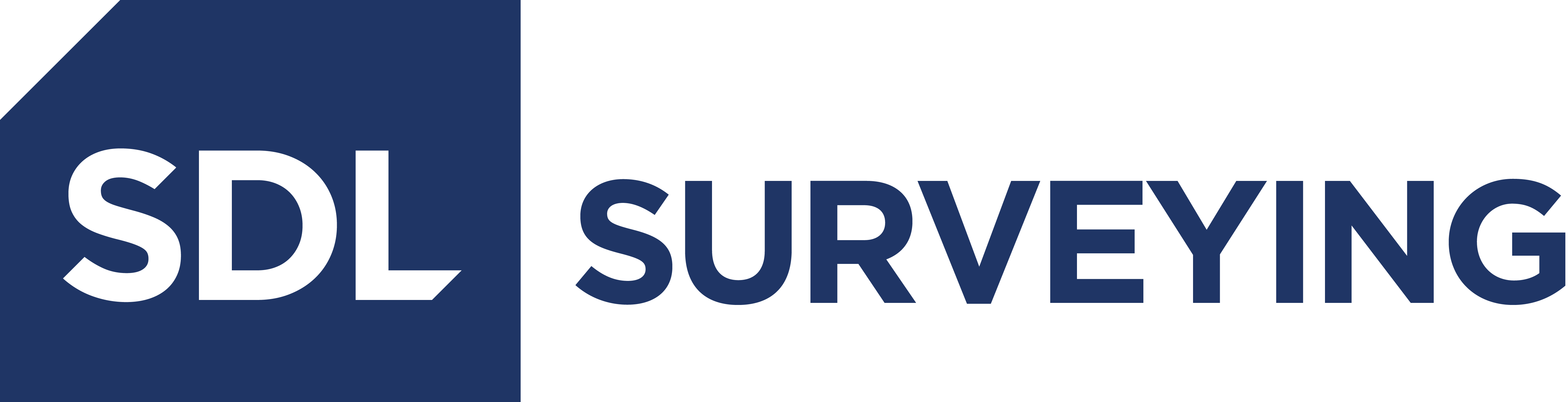 SDL Surveying Old logo